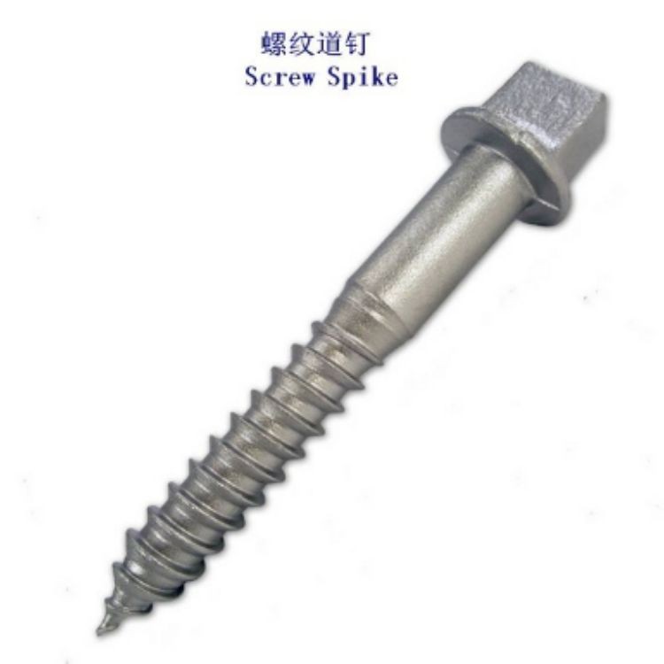 BS Screw Spike Of Hot Dip Galvanized suppliers